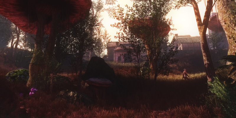 Illustration for article titled High-Res Skywind Looks Like The Morrowind Mod Of My Dreams